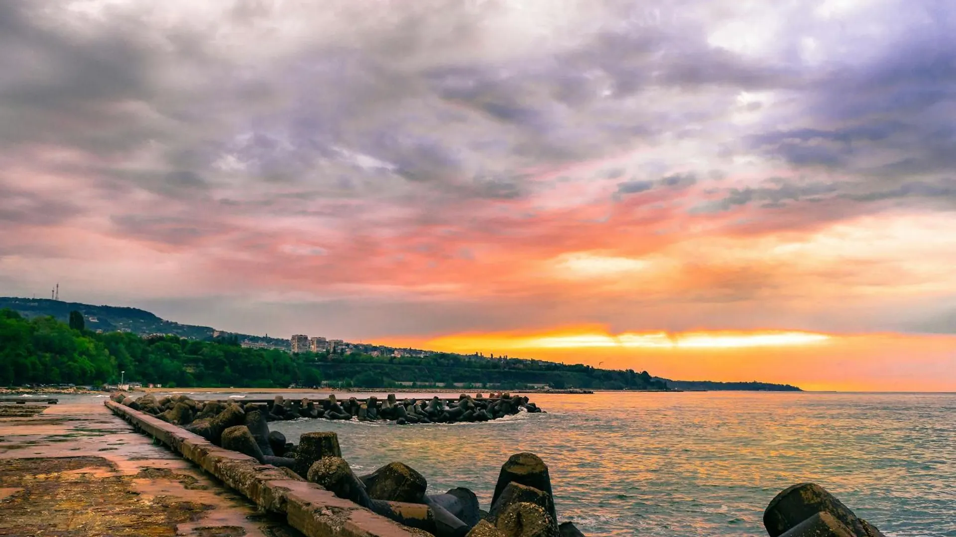 1Br Apartment 8 Mins To Beach With Free Street Parking Varna
