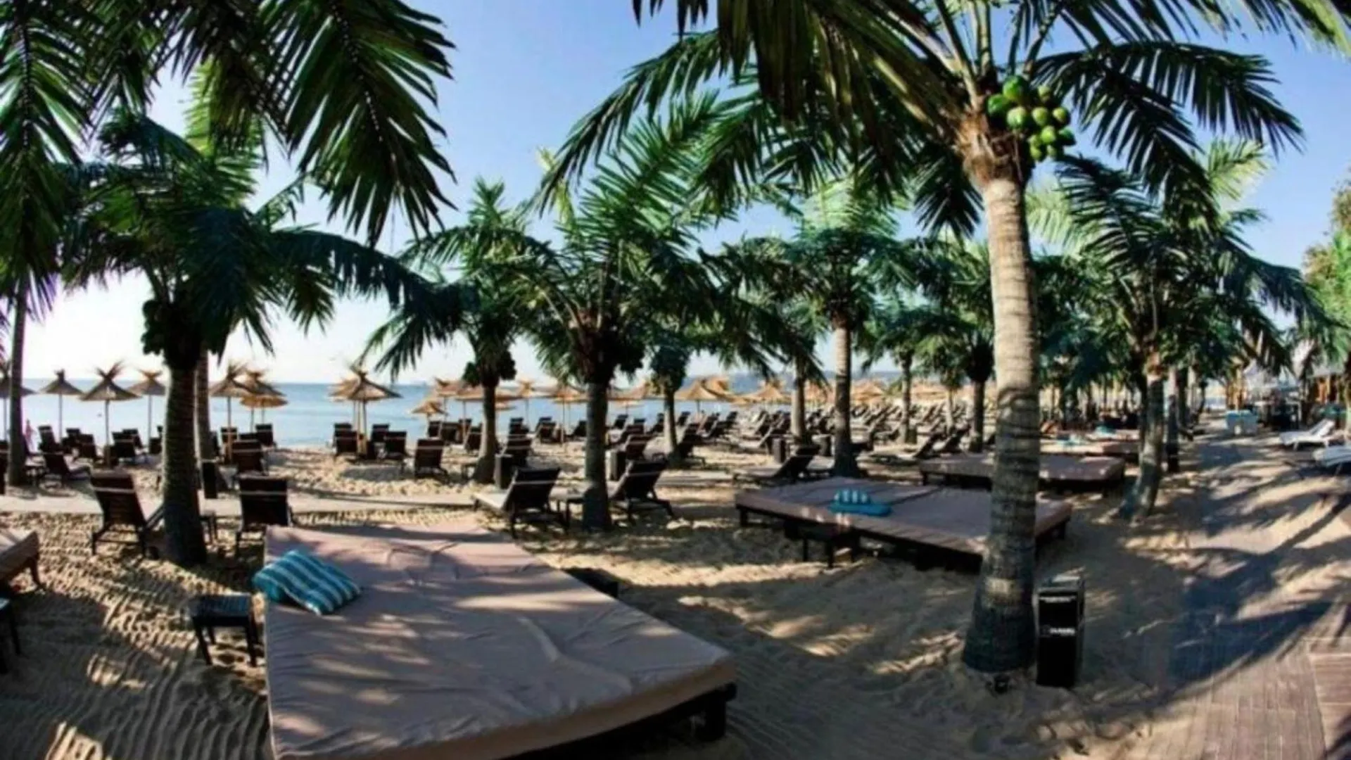 1Br Apartment 8 Mins To Beach With Free Street Parking Varna